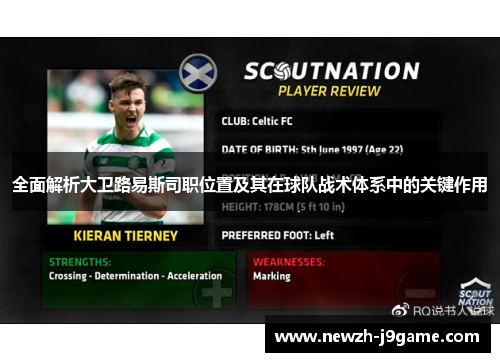 全面解析大卫路易斯司职位置及其在球队战术体系中的关键作用 全面解析大卫路易斯司职位置及其在球队战术体系中的关键作用