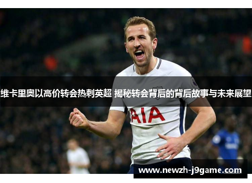 维卡里奥以高价转会热刺英超 揭秘转会背后的背后故事与未来展望 维卡里奥以高价转会热刺英超 揭秘转会背后的背后故事与未来展望