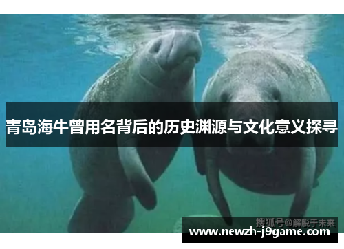 青岛海牛曾用名背后的历史渊源与文化意义探寻 青岛海牛曾用名背后的历史渊源与文化意义探寻
